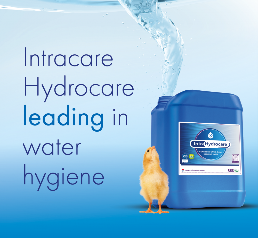 Intra Hydrocare removes biofilm and disinfects drinking lines