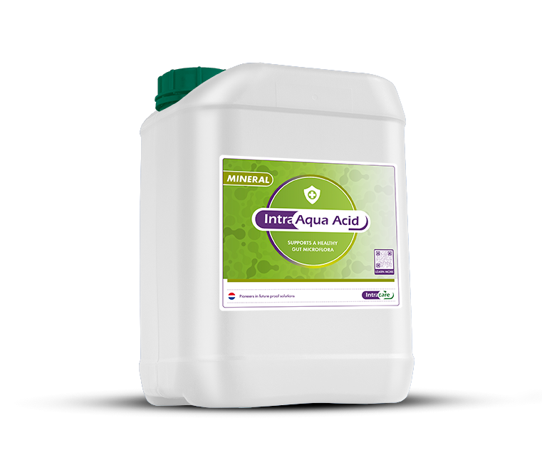Intracare_Intra_aqua_acid_nutrient_can_supplement
