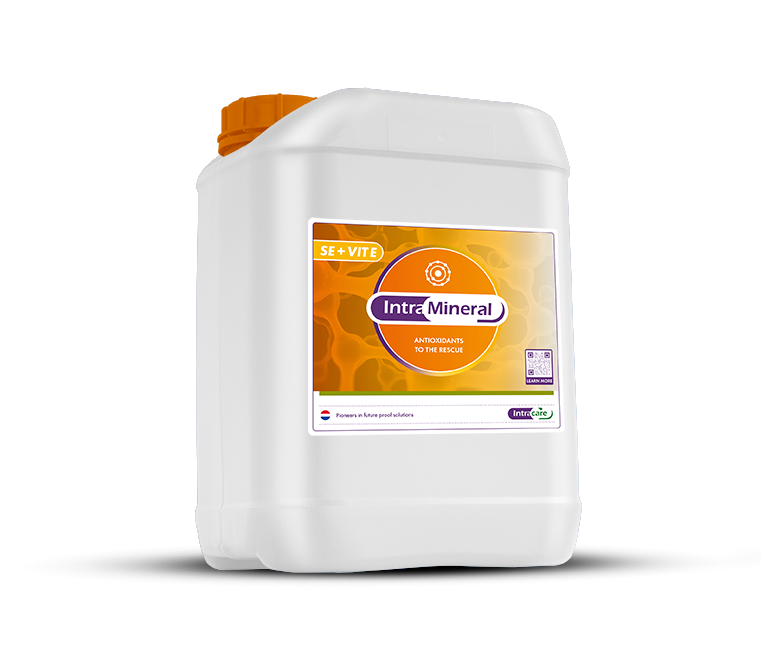 Intracare_Intra_mineral_selenium_vitaminE_nutrient_can_supplement