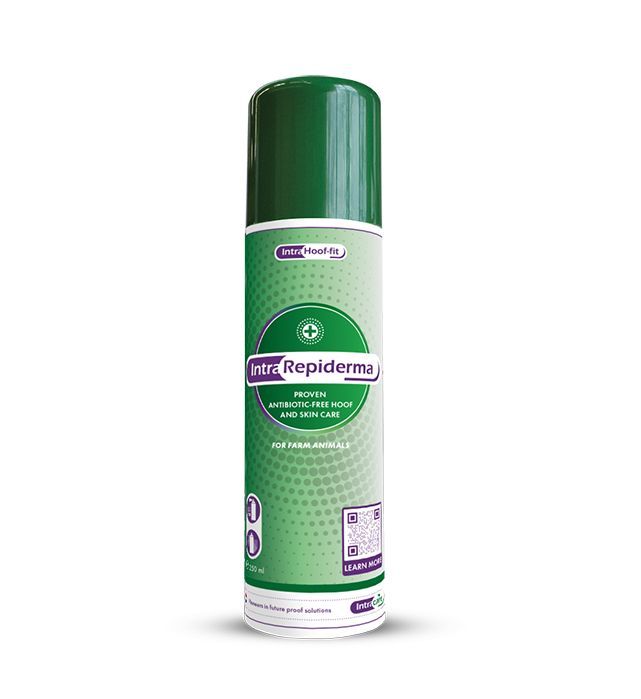 Intracare_Intra_hoof-fit_repiderma_aerosol_hoofcare