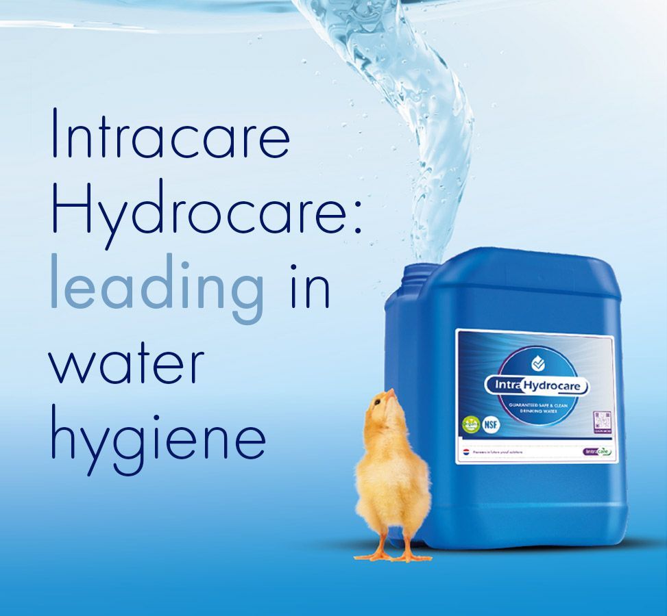 Intra Hydrocare removes biofilm and disinfects drinking lines