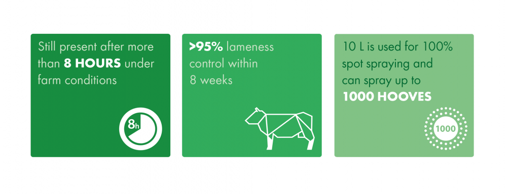 Intra Hoof-fit Spray - facts and figures