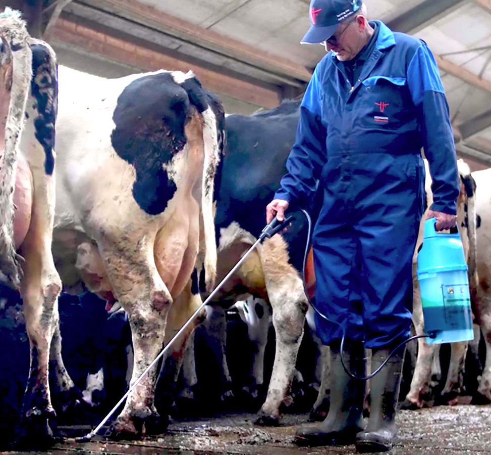 Intra Hoof-fit Spray: Farmers first choice