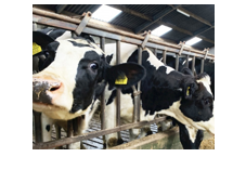 Intracare pictogram barn water treatment