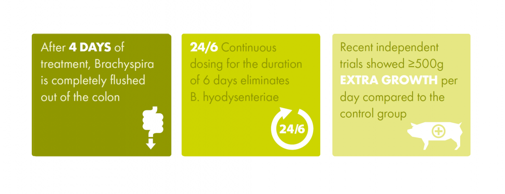  Intra Dysovinol - facts and figures